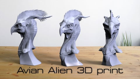 Avian Alien 3d Print OBJ / STL