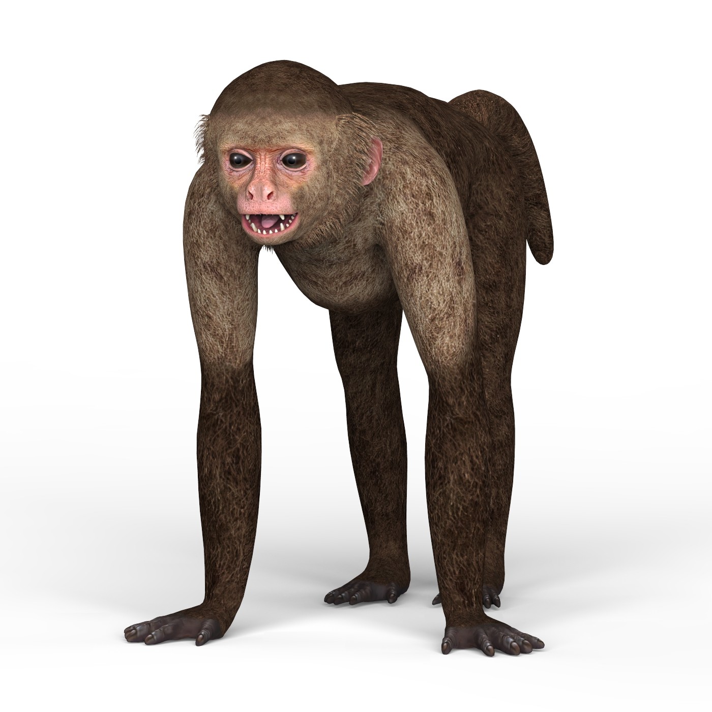 zbrush capuchin monkey model
