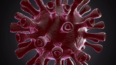 Virus C | 3D Model and Animation