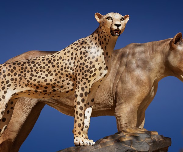 paint cheetah3d