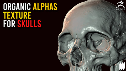 35 Organic Alphas Texture For Skulls Making