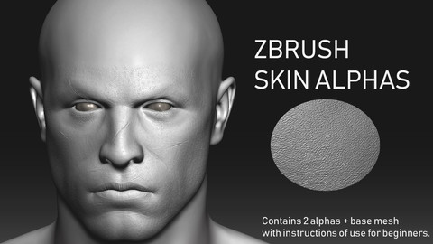 Zbrush Skin / pores alpha with base mesh