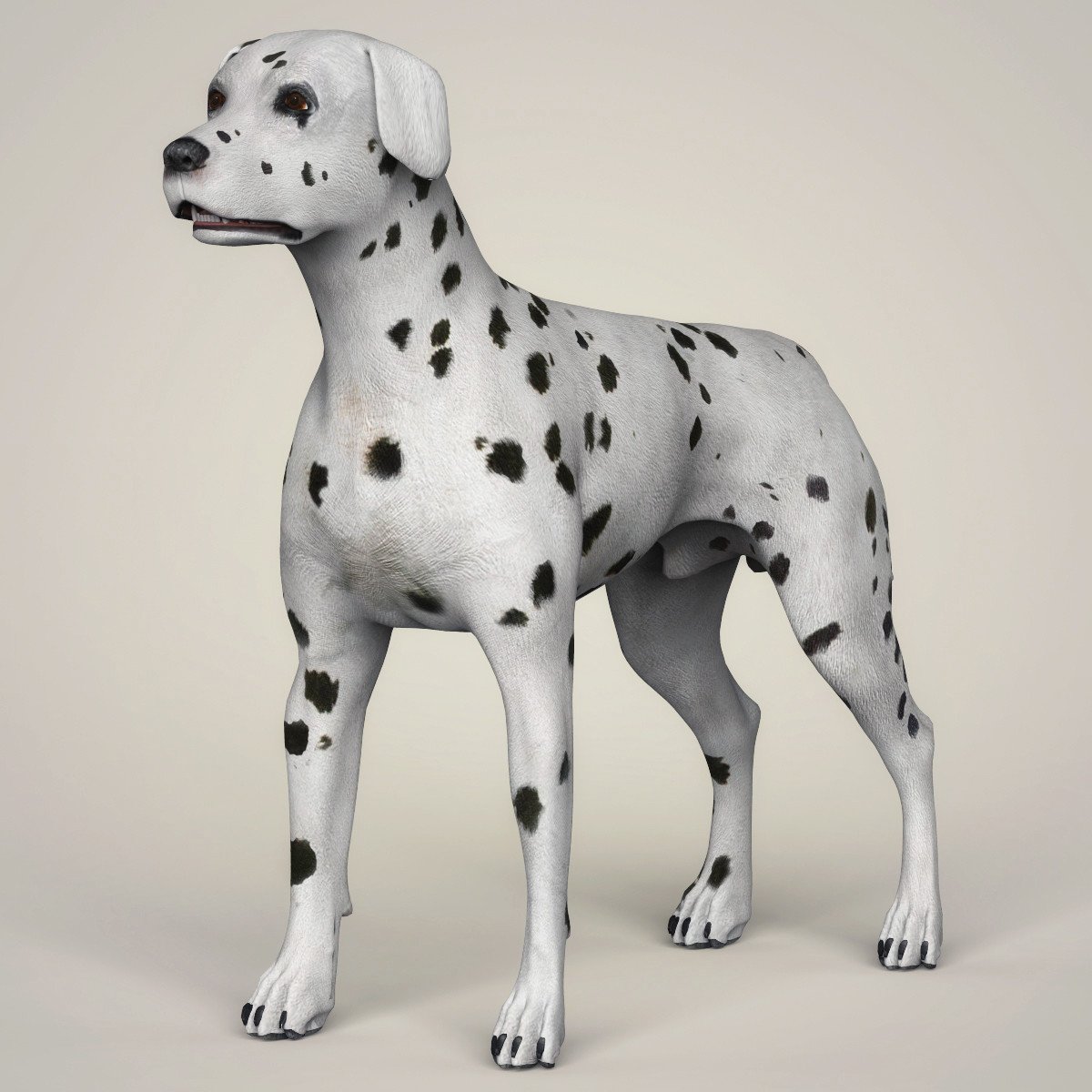 ArtStation Realistic 3D Dog Collection Resources