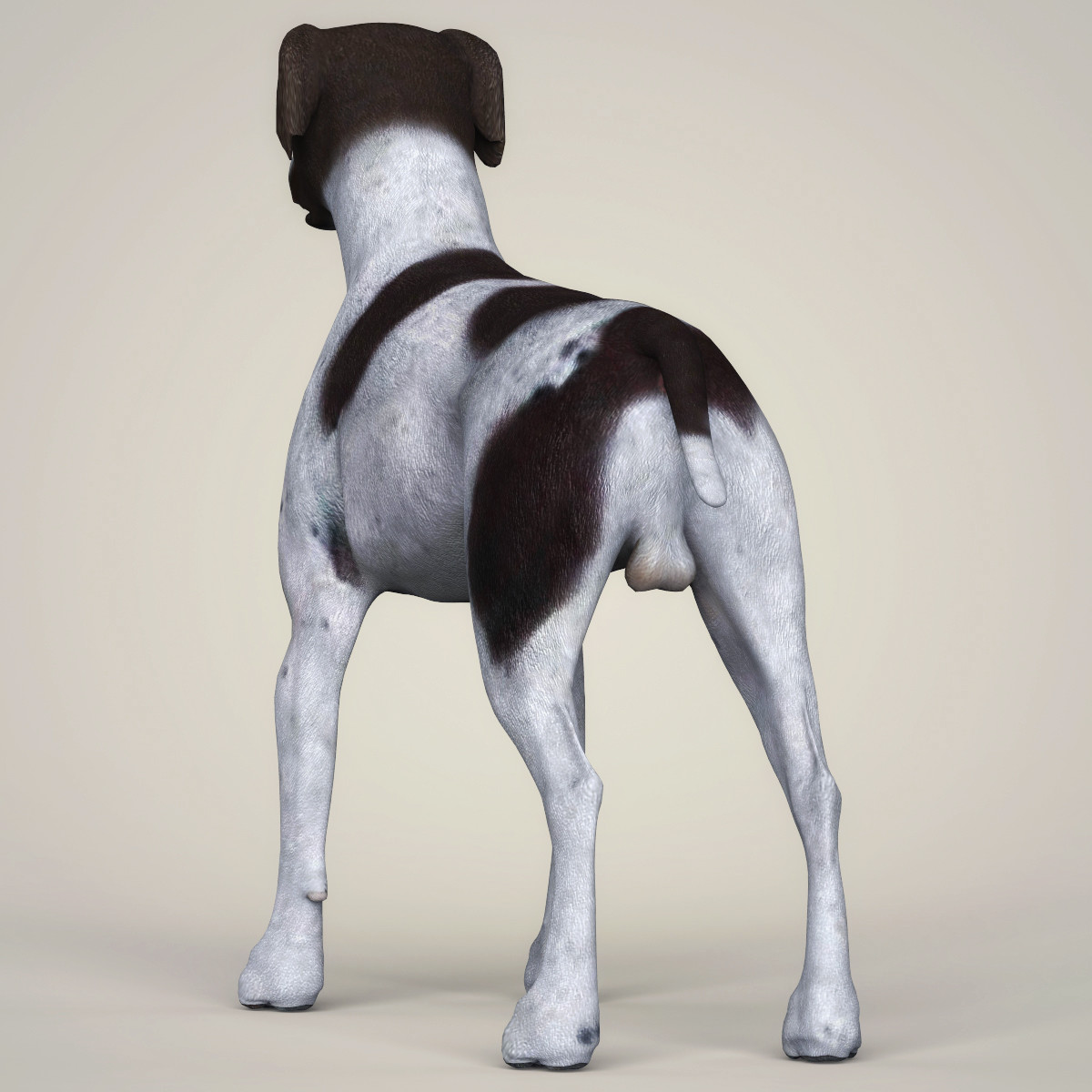 Модель собаки реалистичная. 3д модель немецкий дог stl. Дог 3д. Собака компьютерная модель. Лабрадор 3д.