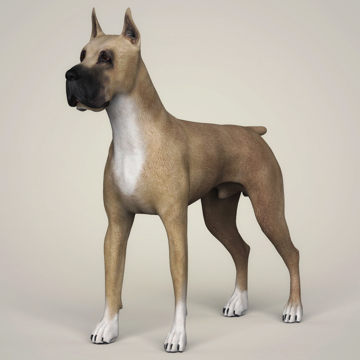 ArtStation Realistic 3D Dog Collection Resources