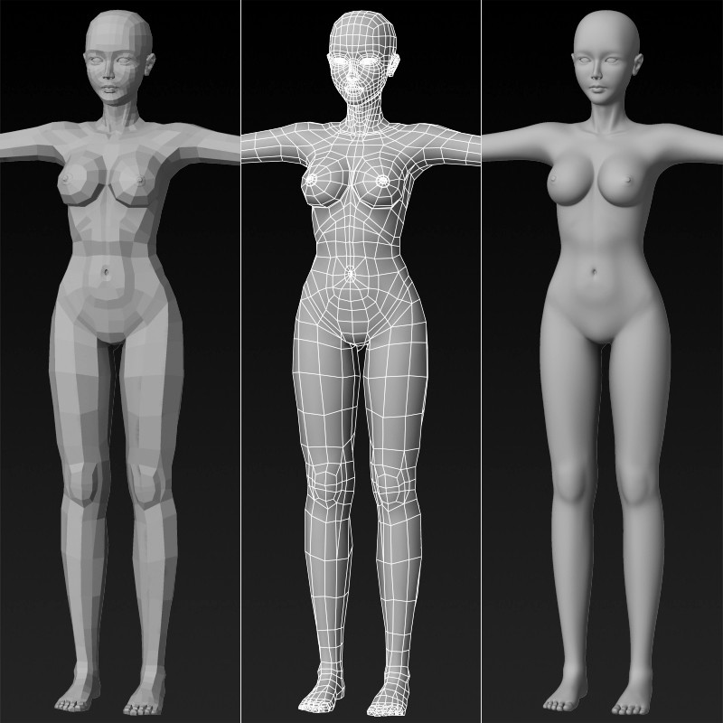 Female Custom Base Mesh 3d Model