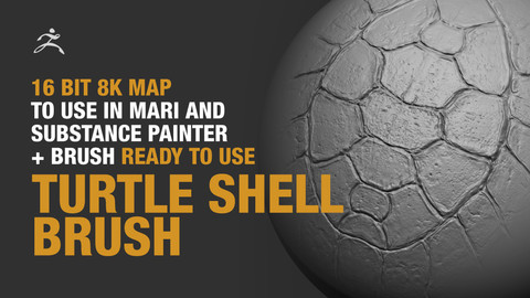 Turtle Shell Brush + 16bit 8k Map