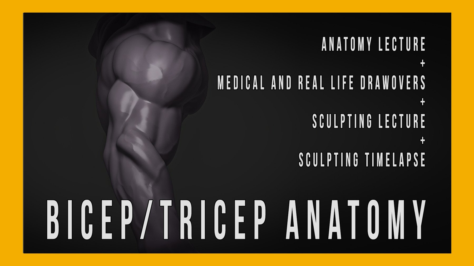 Artstation Bicep Tricep Anatomy For Sculptors Tutorials