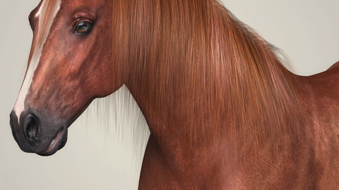 Photorealistic Brown Horse