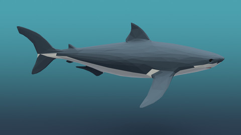 Low poly shark