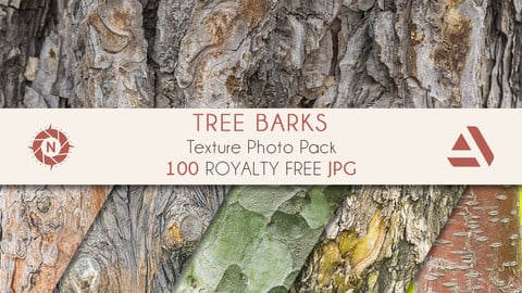 Texture Photo Pack: Tree Barks