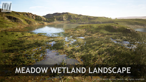 UE4 - MEADOW WETLANDS LANDSCAPE