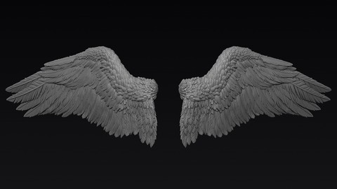 Wings Sculpt