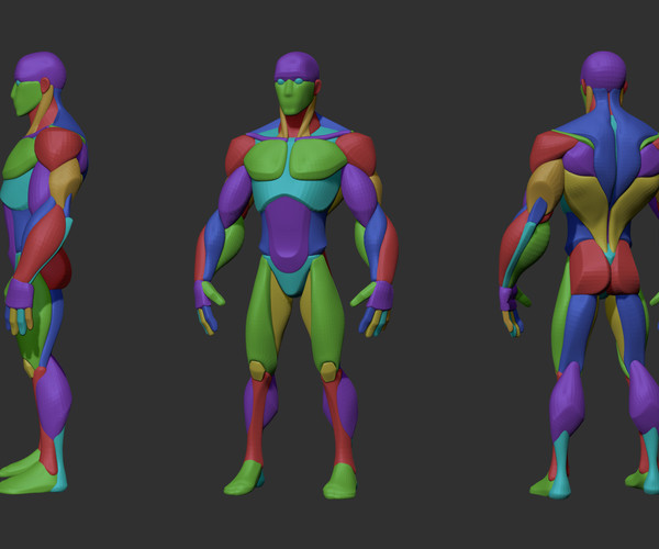 ArtStation - Stylized Anatomy BASEMESHES | Resources