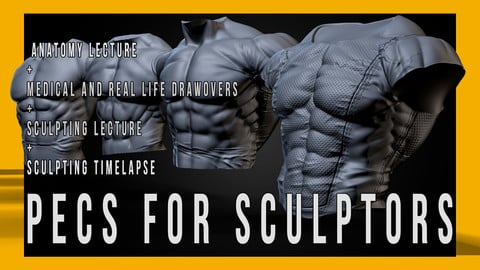 Pecs for Sculptors