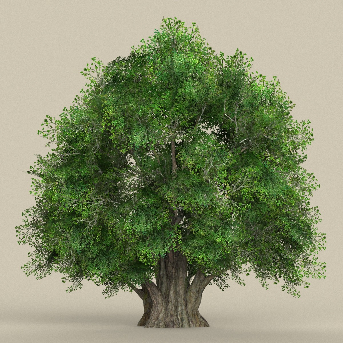 ArtStation - Game Ready Biggest Tree Collection | Game Assets