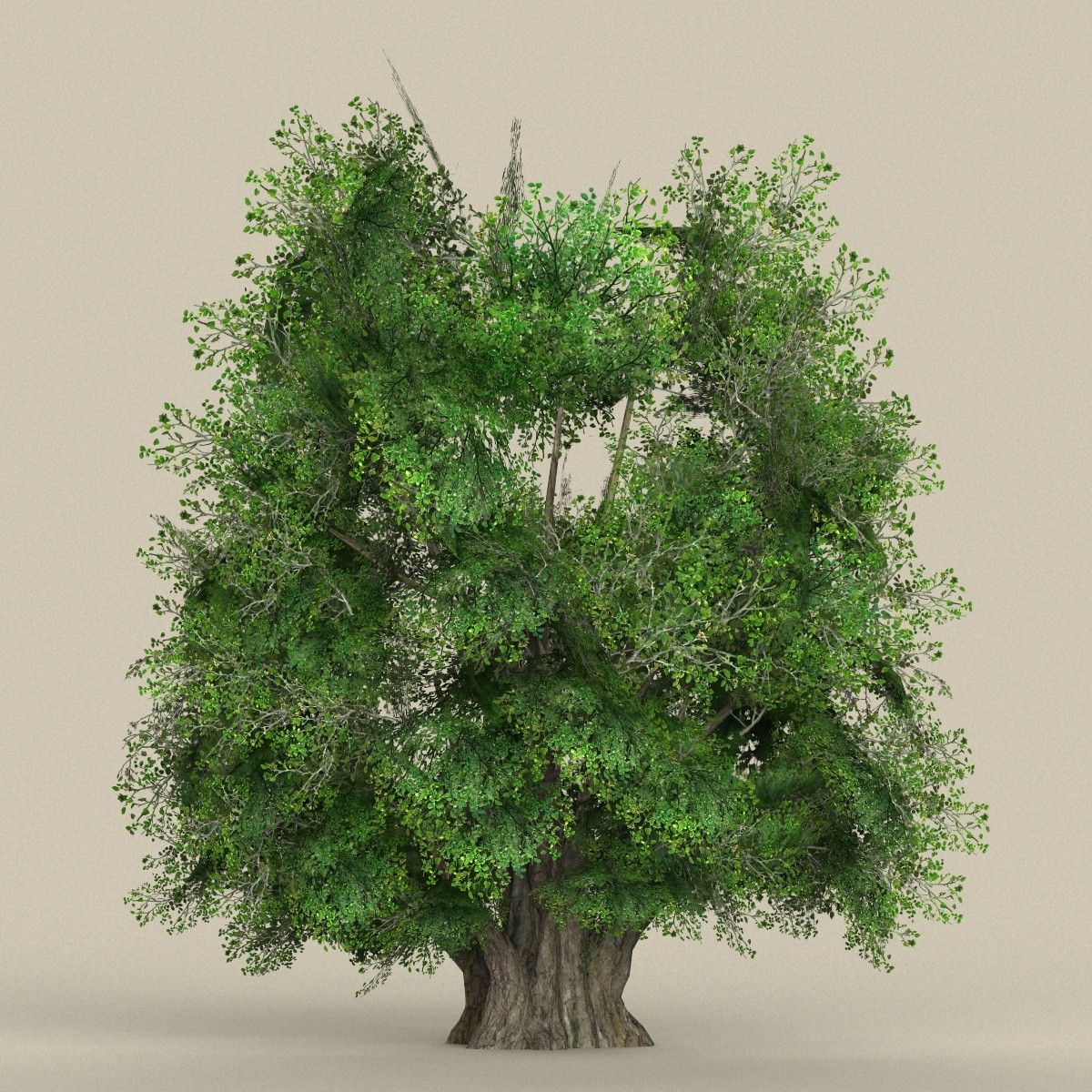 ArtStation - Game Ready Biggest Tree Collection | Game Assets