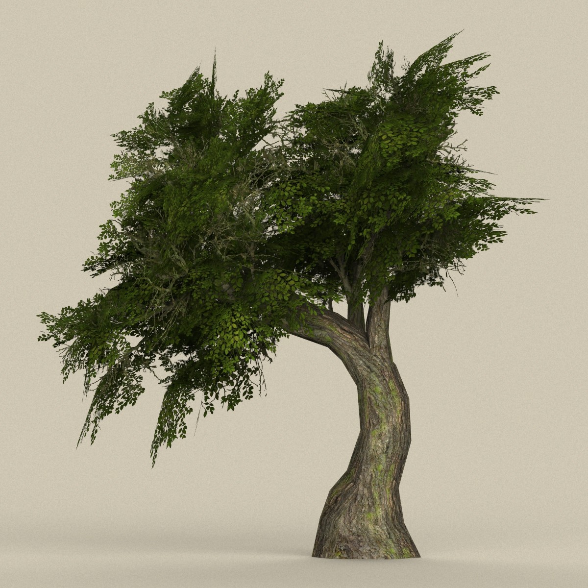 Дерево в 3 d. Tree 3ds Max. TEW Tree 3d model. Дерево для 3д Макс.