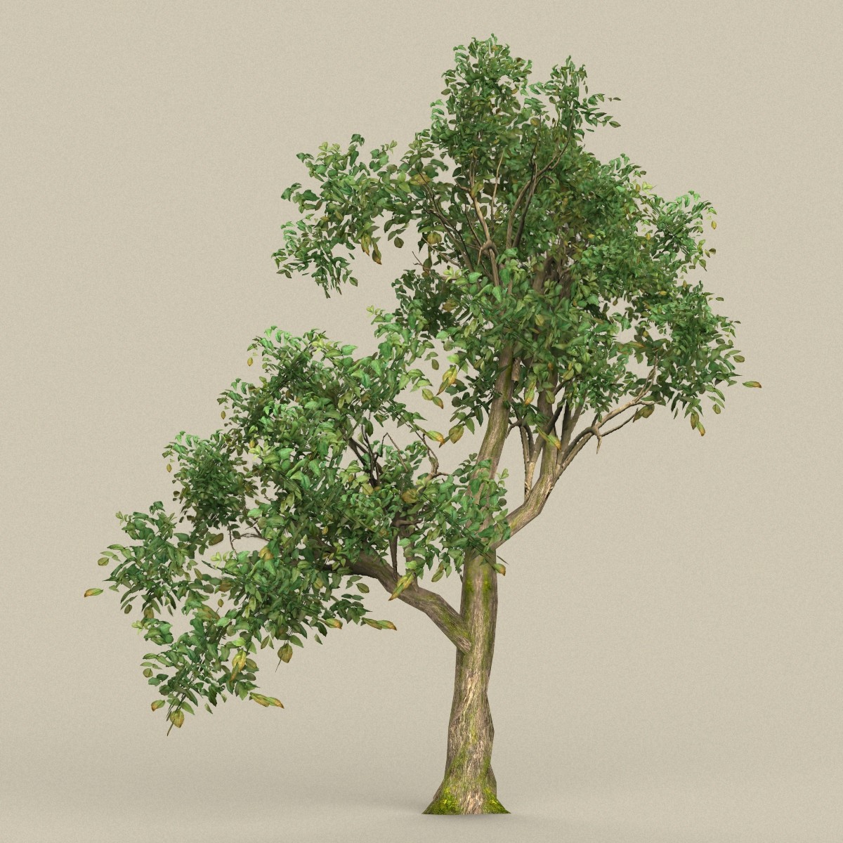 ArtStation - Game Ready Biggest Tree Collection | Game Assets