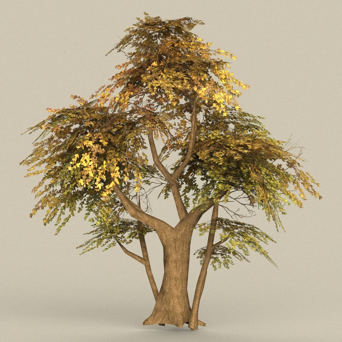 Дерево макс. Pavlonian Tree 3d model. Goliver Tree x. Tree presets. Ivanishvili’s Tree collecting Hobby.