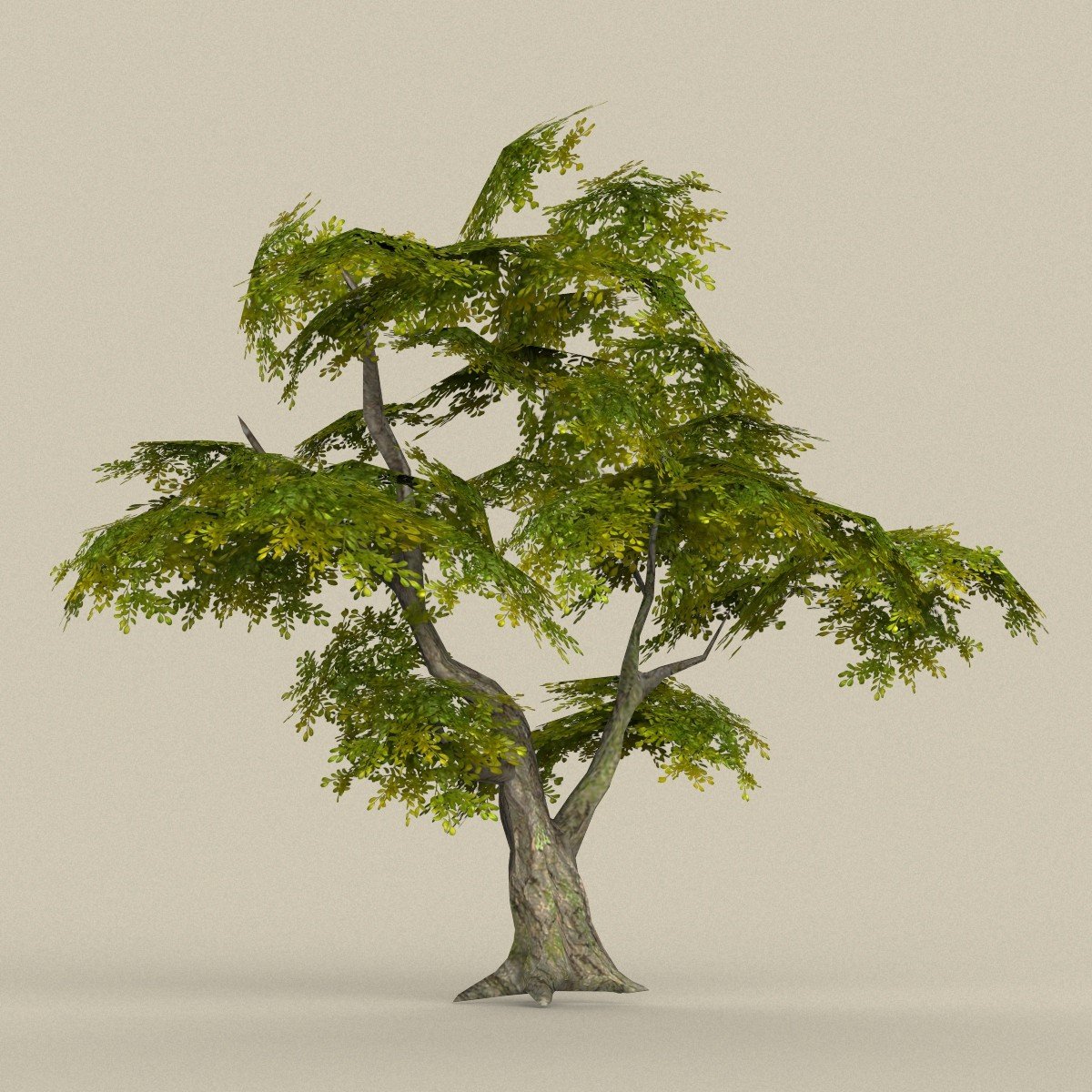 Tree 3d model. Большое дерево 3 d модель. Китайское дерево 3d model. Дерево для 3д Макс. Модели jpeg деревья.