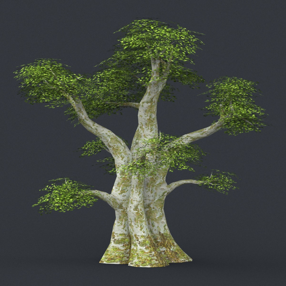 10 tree. 3d дерево. Дерево 3d модель. Деревья 1:18. Tree 3d Mesh model.