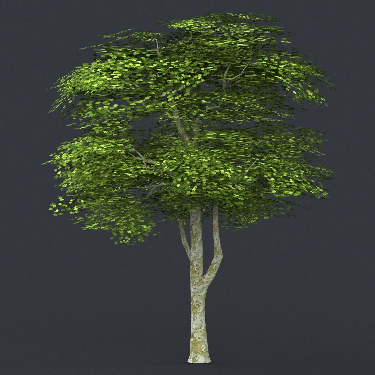 ArtStation - Low Poly 10 Tree Collection | Resources