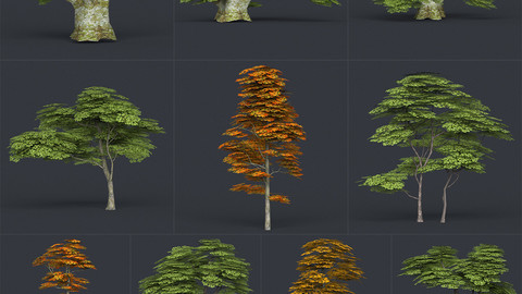 Low Poly 10 Tree Collection Release 2