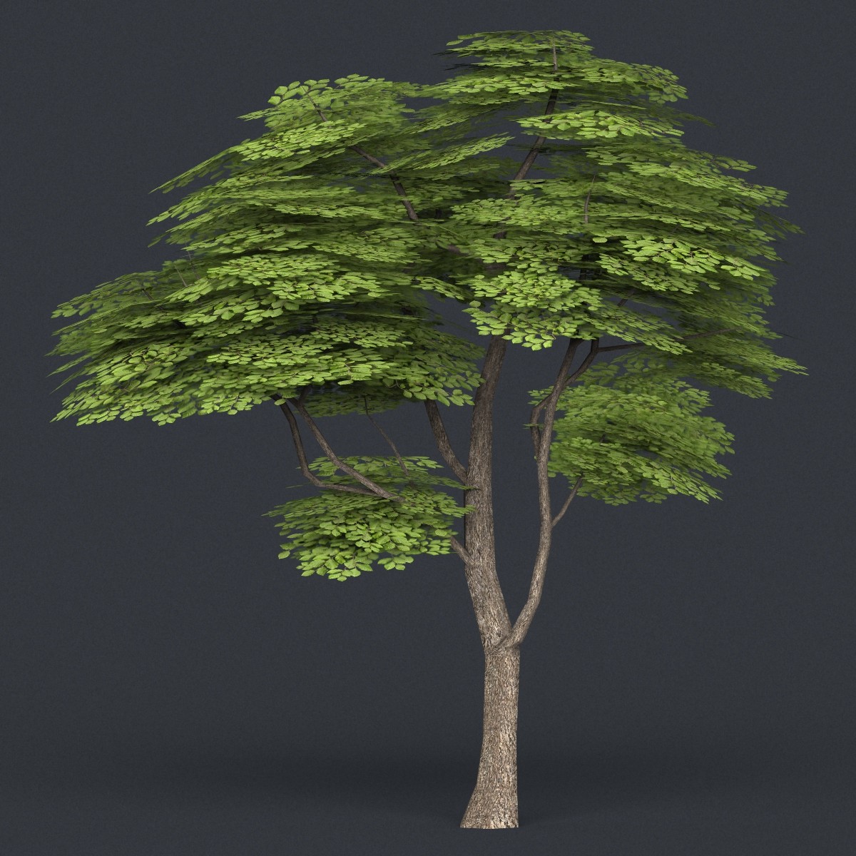 Tree 3d model. Low Poly Tree 3d model. Дерево модель 3ds Max. 3d дерево. Деревья для моделирования.