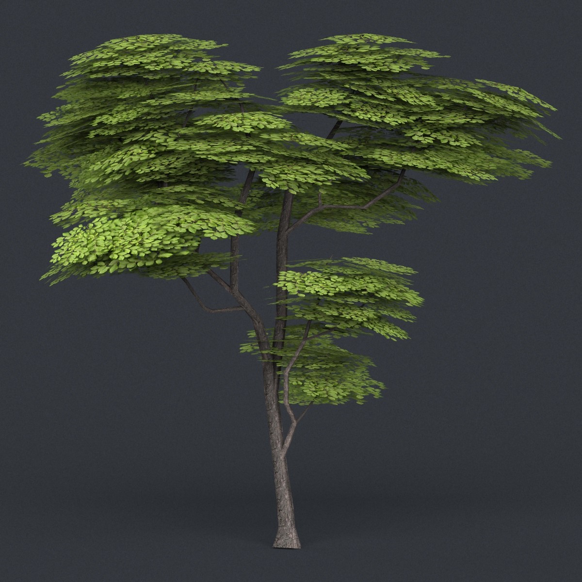 10 tree. Tree13. Дерево в 3d Max Bitmap. Джошуа дерево 3д модель. Low Poly Tree 3d model.