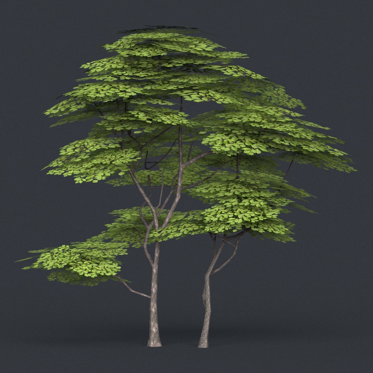 ArtStation - Low Poly 10 Tree Collection Release 2 | Resources