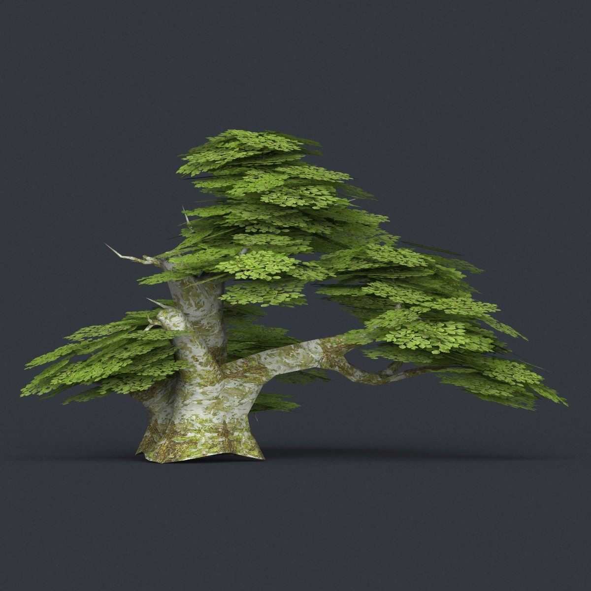 ArtStation - Low Poly 10 Tree Collection Release 2 | Resources