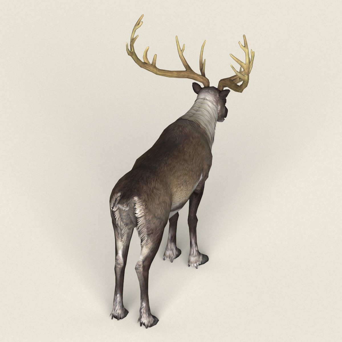 ArtStation - Reindeer | Resources