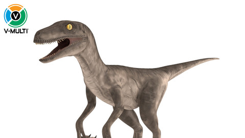 3D Model: Velociraptor