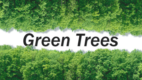 Green Trees + Gift
