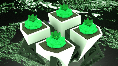 SAITORUS - 3D PRINTABLE PLANTER