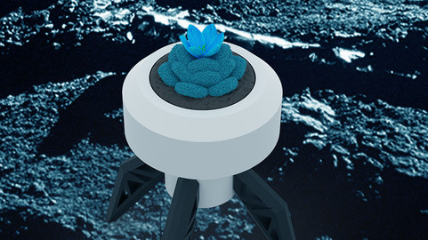 AURORIS - 3D PRINTABLE PLANTER