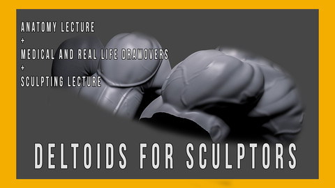 Deltoids for Sculptors