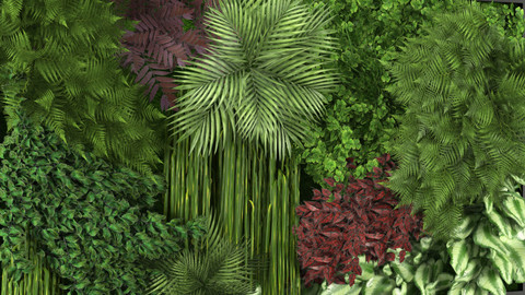 Vertical Garden 02