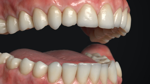 Teeth Asset (VFX)