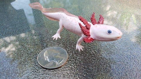 Axolotl 3D Print Ready