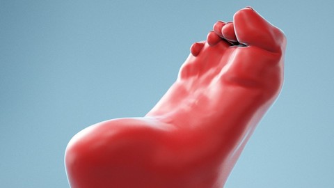 Claw Foot Realistic Foot