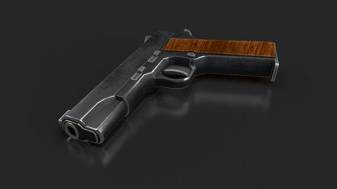 1911 Gun