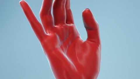 Elegant Relaxed Realistic Hand