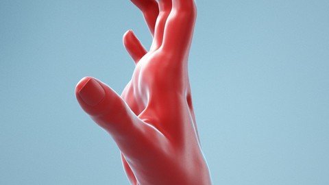 Stretched Claw Realistic Hand