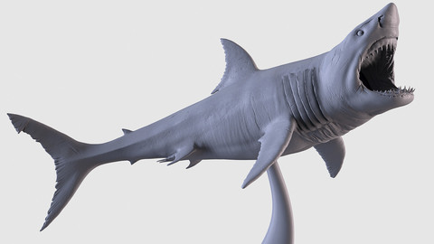 White Shark Statue