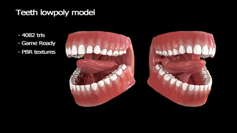 Teeth lowpoly model