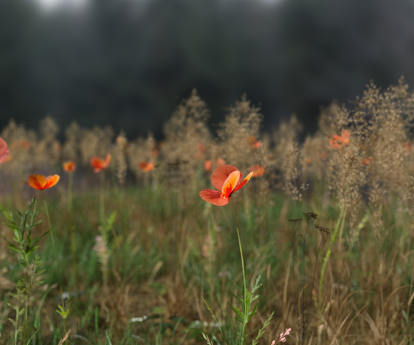 ArtStation - Poppy Pack | Resources