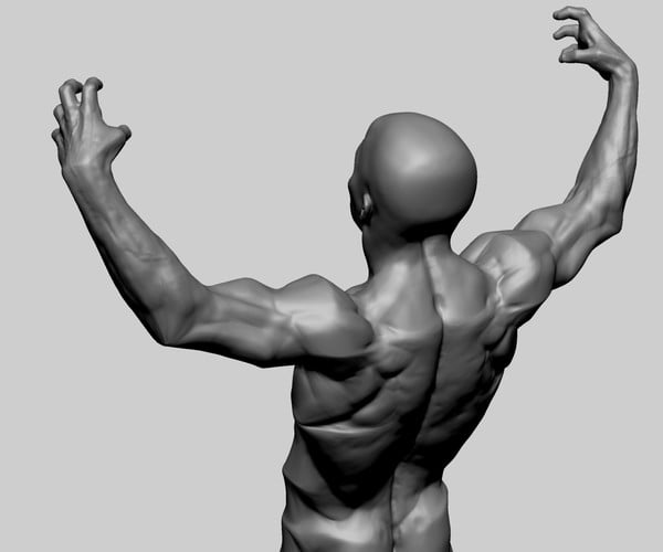 ArtStation - Male Anatomy Study | Resources