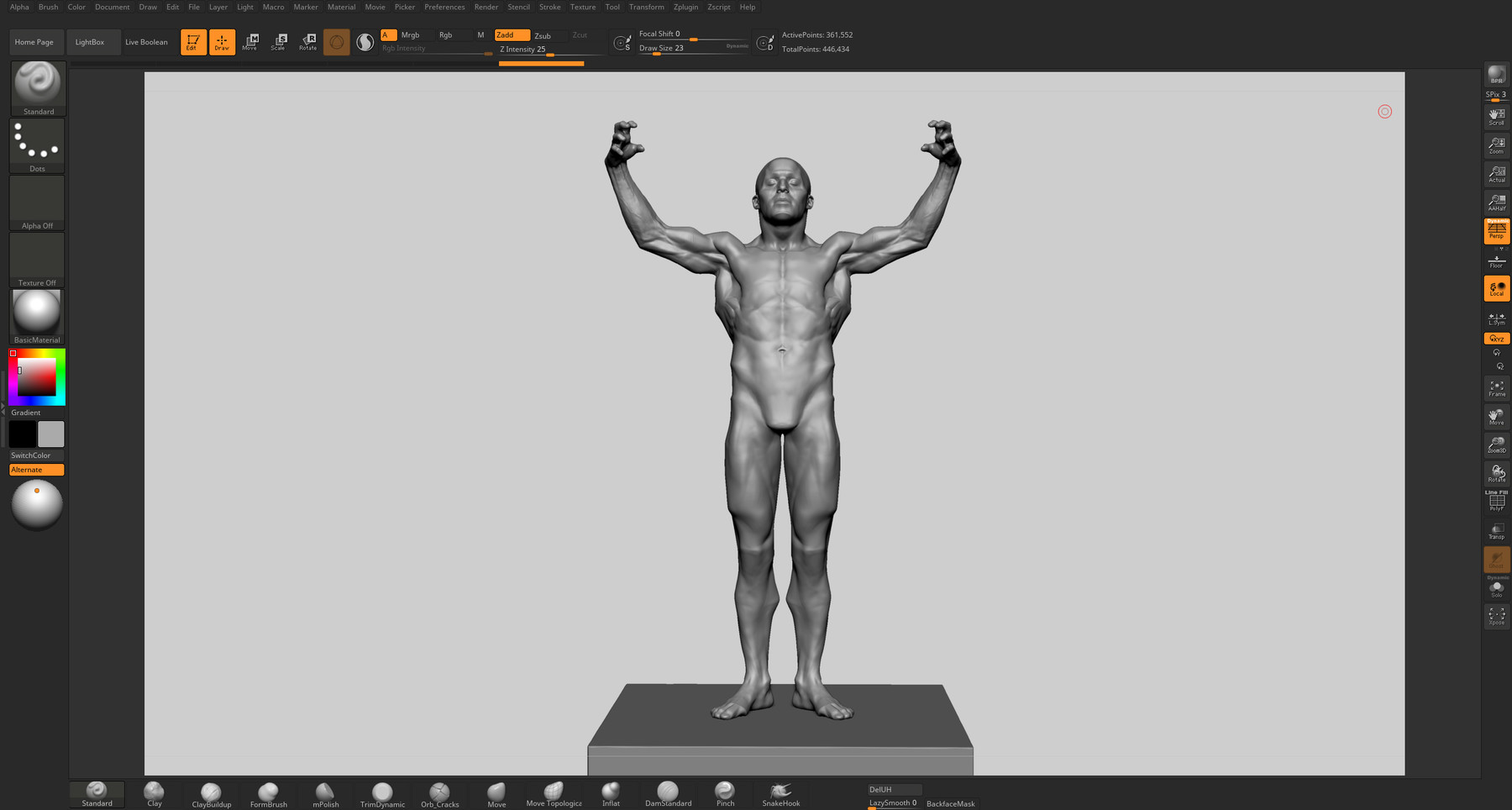 ArtStation Male Anatomy Study Resources
